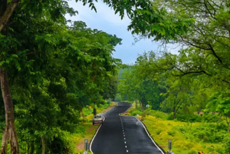 A tree-lined highway through green countryside